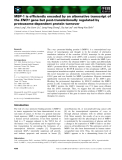 Báo cáo khoa học: MBP-1 is efﬁciently encoded by an alternative transcript of the ENO1 gene but post-translationally regulated by proteasome-dependent protein turnover