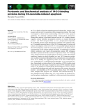 Báo cáo khoa học: Proteomic and biochemical analysis of 14-3-3-binding proteins during C2-ceramide-induced apoptosis