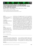 Báo cáo khoa học: Carbohydrate binding sites in Candida albicans exo-b-1,3-glucanase and the role of the Phe-Phe ‘clamp’ at the active site entrance