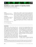 Báo cáo khoa học: Scaffolds are ‘active’ regulators of signaling modules