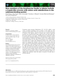 Báo cáo khoa học: New members of the brachyurins family in lobster include a trypsin-like enzyme with amino acid substitutions in the substrate-binding pocket