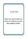 LUẬN VĂN:  CÔNG TÁC TIỀN LƯƠNG TẠI CÔNG TY CỔ PHẦN LILAMATHÍ NGHIỆM CƠ ĐIỆN