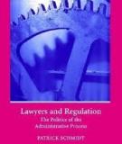 LAWYERS AND REGULATION The Politics of the Administrative Process