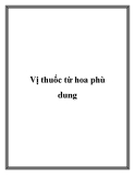 Vị thuốc từ hoa phù dung