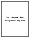 Hải Tượng loài cá quý trong sách đỏ Việt Nam