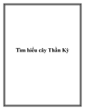 Tìm hiểu cây Thần Kỳ