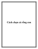 Cách chọn cá rồng con