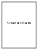 Kỹ thuật nuôi vỗ cá tra