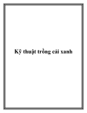 Kỹ thuật trồng cải xanh