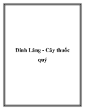 Đinh Lăng - Cây thuốc quý