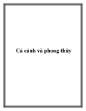 Cá cảnh và phong thủy