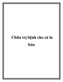 Chữa trị bệnh cho cá la hán