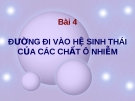 ĐƯỜNG ĐI VÀO HỆ SINH THÁI CỦA CÁC CHẤT Ô NHIỄM