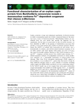 Báo cáo khoa học: Functional characterization of an orphan cupin protein from Burkholderia xenovorans reveals a mononuclear nonheme Fe2+-dependent oxygenase that cleaves b-diketones