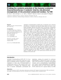 Báo cáo khoa học: Probing the catalytic potential of the hamster arylamine N-acetyltransferase 2 catalytic triad by site-directed mutagenesis of the proximal conserved residue, Tyr190