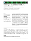 Báo cáo khoa học: Modeling of ATP–ADP steady-state exchange rate mediated by the adenine nucleotide translocase in isolated mitochondria