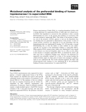 Báo cáo khoa học: Mutational analysis of the preferential binding of human topoisomerase I to supercoiled DNA