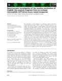 Báo cáo khoa học: Spectroscopic investigation of the reaction mechanism of CopB-B, the catalytic fragment from an archaeal thermophilic ATP-driven heavy metal transporter