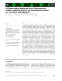 Báo cáo khoa học: UDP-galactose 4-epimerase from Kluyveromyces fragilis – catalytic sites of the homodimeric enzyme are functional and regulated