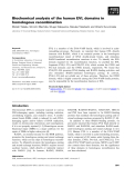 Báo cáo khoa học: Biochemical analysis of the human EVL domains in homologous recombination