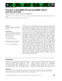 Báo cáo khoa học: Function of microRNA-375 and microRNA-124a in pancreas and brain