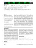 Báo cáo khoa học: Mechanisms of obesity and related pathologies: The macro- and microcirculation of adipose tissue