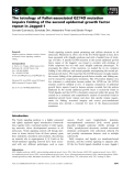 Báo cáo khoa học: The tetralogy of Fallot-associated G274D mutation impairs folding of the second epidermal growth factor repeat in Jagged-1