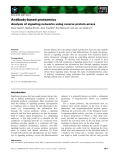 Báo cáo khoa học: Antibody-based proteomics Analysis of signaling networks using reverse protein arrays