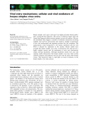 Báo cáo khoa học: Viral entry mechanisms: cellular and viral mediators of herpes simplex virus entry