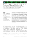 Báo cáo khoa học:  Mechanisms of obesity and related pathologies: Role of apolipoprotein E in the development of obesity