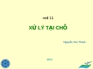 Đất 11 - Xử lý tại chỗ