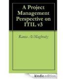 A PROJECT MANAGEMENT PERSPECTIVE ON ITIL V3