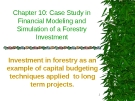 Case Study in Financial Modeling and Simulation of a Forestry Investment