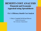  Efficiency Benefit-Cost Analysis