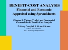 Valuing Traded and Non-traded Commodities in Benefit-Cost Analysis