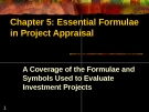  Essential Formulae in Project Appraisal