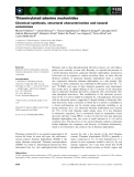 Báo cáo khoa học: Thiaminylated adenine nucleotides Chemical synthesis, structural characterization and natural occurrence