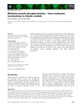 Báo cáo khoa học: Multisite protein phosphorylation – from molecular mechanisms to kinetic models