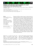 Báo cáo khoa học: Isolation and molecular characterization of a novel D-hydantoinase from Jannaschia sp. CCS1