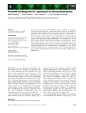 Báo cáo khoa học: Possible binding site for paclitaxel at microtubule pores