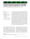 Báo cáo khoa học: The chitinolytic system of Lactococcus lactis ssp. lactis comprises a nonprocessive chitinase and a chitin-binding protein that promotes the degradation of a- and b-chitin