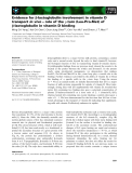 Báo cáo khoa học: Evidence for b-lactoglobulin involvement in vitamin D transport in vivo – role of the c-turn (Leu-Pro-Met) of b-lactoglobulin in vitamin D binding