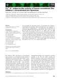 Báo cáo khoa học: Ca2+ ⁄ H+ antiporter-like activity of human recombinant Bax inhibitor-1 reconstituted into liposomes