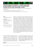 Báo cáo khoa học: Crystal structure of textilinin-1, a Kunitz-type serine protease inhibitor from the venom of the Australian common brown snake (Pseudonaja textilis)