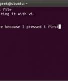 Tìm hiểu về ứng dụng Vi trong Linux