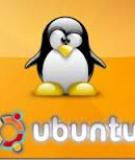 Truy cập tới thư mục chia sẻ trong máy ảo Ubuntu 11.04