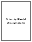 Cà tím giúp điều trị và phòng ngừa ung thư