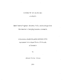 Research " Stabilization Programs, Monetary Policy and Exchange Rate Movements in Emerging Markets Economies  "