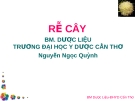 Rễ cây