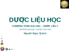 Đại cương dược liệu